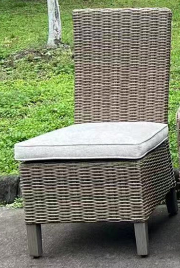 Laguna Heights Side Chair with Cushion (Set of 2)
